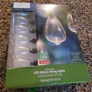 LED Edison string lights